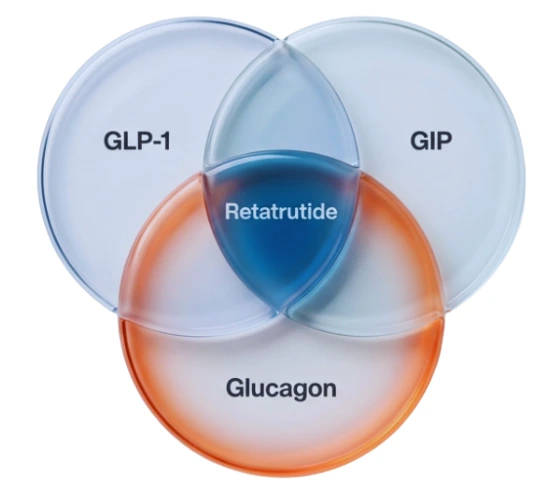 wykres przedstawiający działanie retetrutydu na hormony w ciele